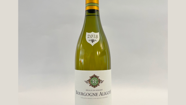 Aligote blanc