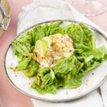 Rillettes au saumon & sucrine